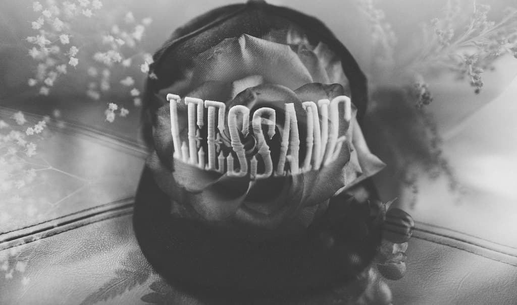 E78 Snapback — Platinum Logo