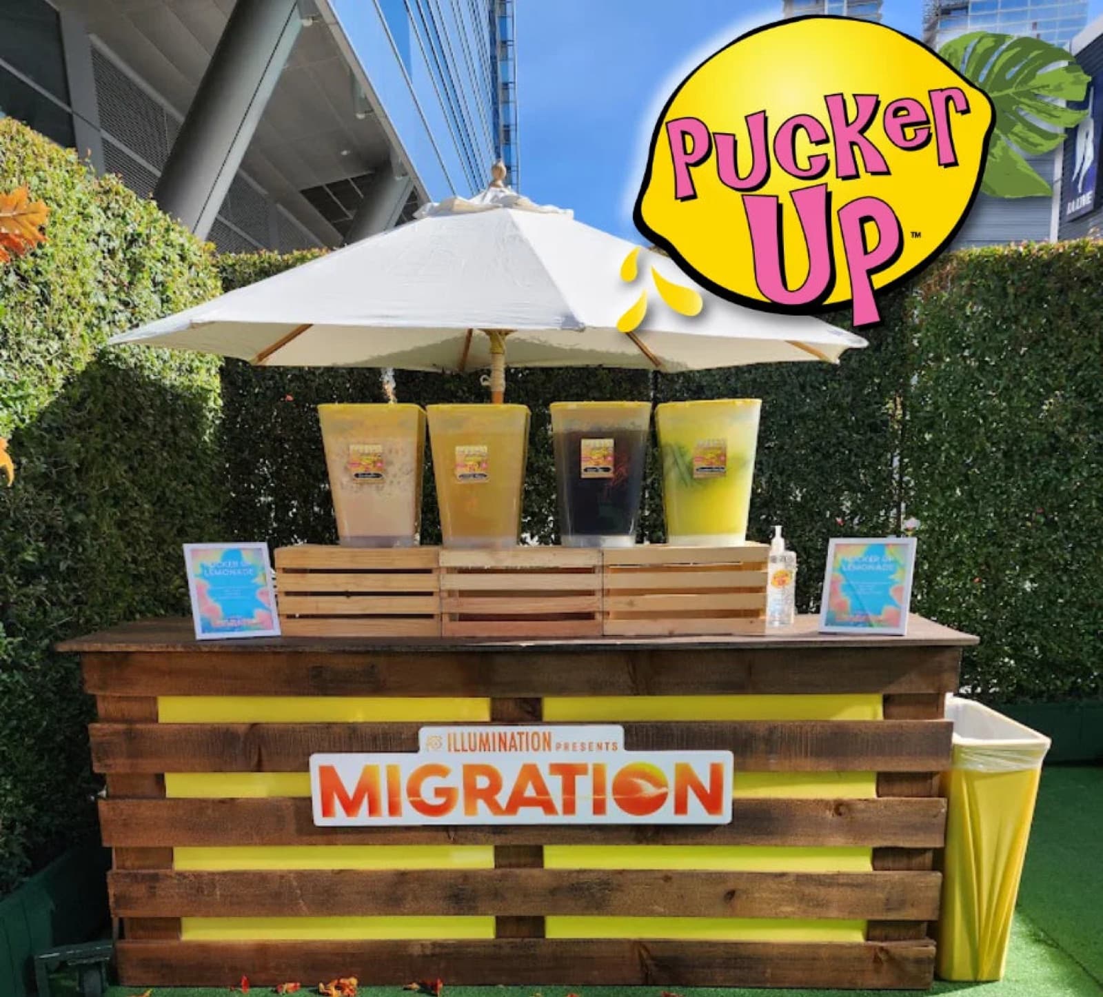 Pucker Up Lemonade Co., photo 10